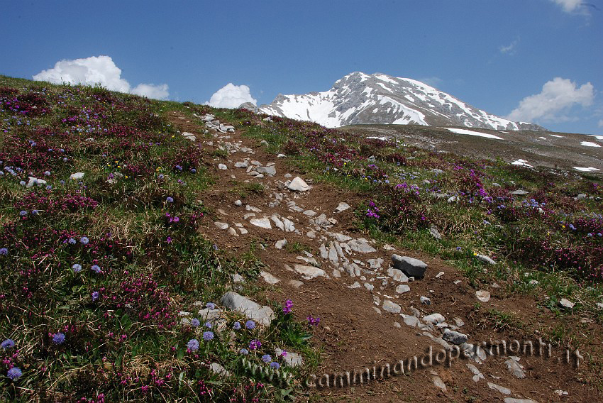 29 Sentiero Rifugio Capanna 2000.JPG